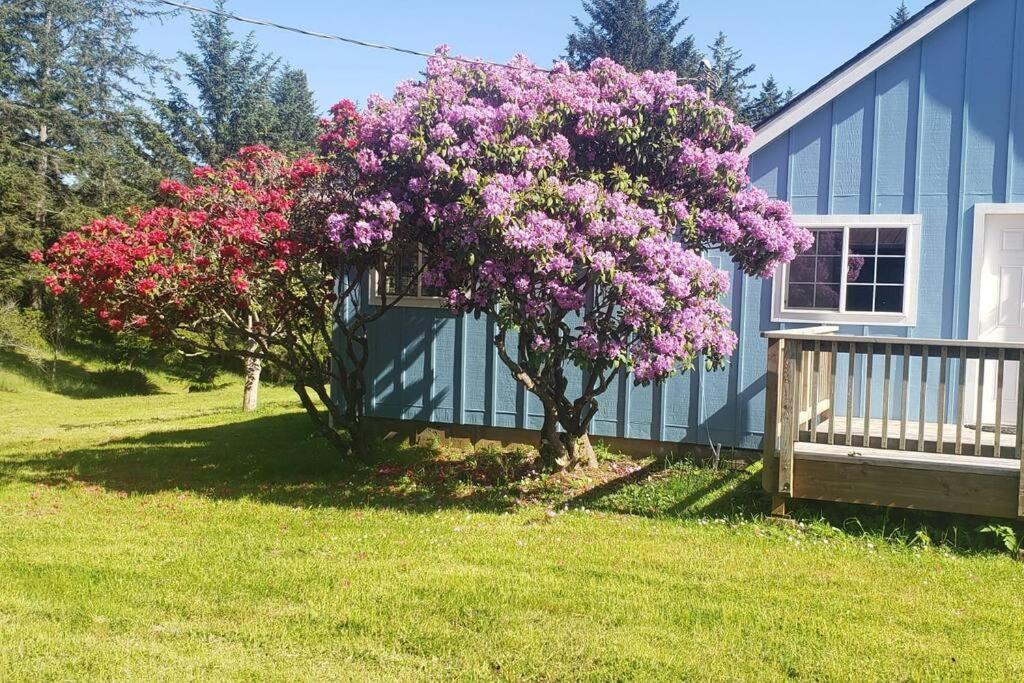 Coastal Charm: Sw Oregon Home On 2+ Quiet Acres Carpenterville Esterno foto